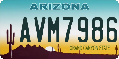 AZ license plate AVM7986