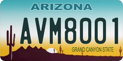 AZ license plate AVM8001