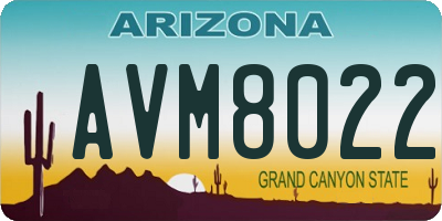 AZ license plate AVM8022