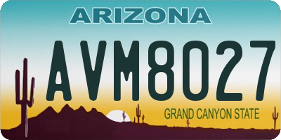AZ license plate AVM8027