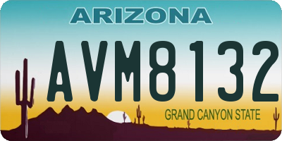 AZ license plate AVM8132