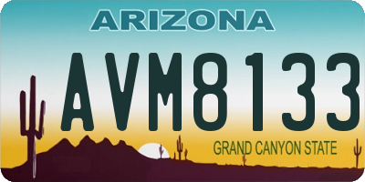 AZ license plate AVM8133