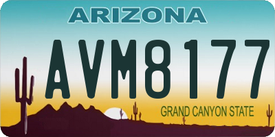 AZ license plate AVM8177