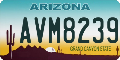 AZ license plate AVM8239