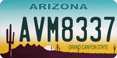 AZ license plate AVM8337