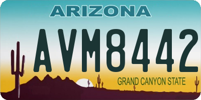 AZ license plate AVM8442