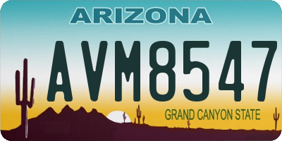 AZ license plate AVM8547