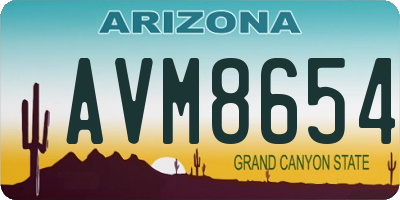 AZ license plate AVM8654