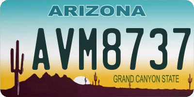 AZ license plate AVM8737