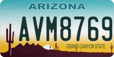 AZ license plate AVM8769