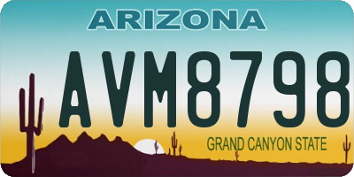 AZ license plate AVM8798