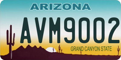 AZ license plate AVM9002