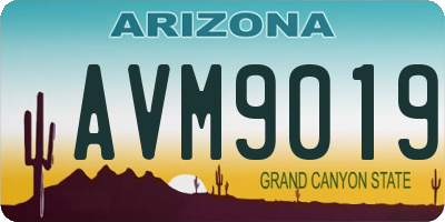 AZ license plate AVM9019