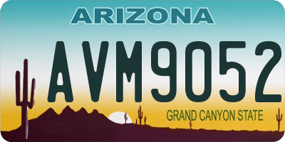 AZ license plate AVM9052