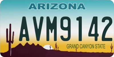 AZ license plate AVM9142