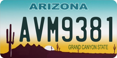 AZ license plate AVM9381