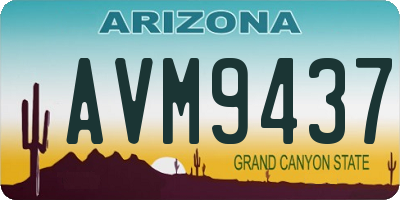 AZ license plate AVM9437