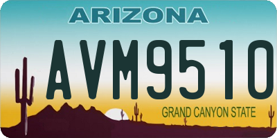 AZ license plate AVM9510