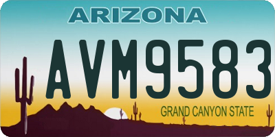 AZ license plate AVM9583