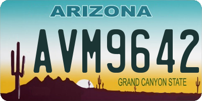 AZ license plate AVM9642