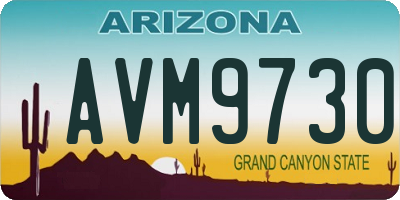 AZ license plate AVM9730