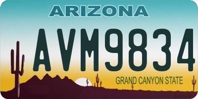 AZ license plate AVM9834