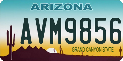 AZ license plate AVM9856