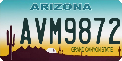 AZ license plate AVM9872