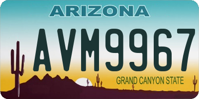 AZ license plate AVM9967