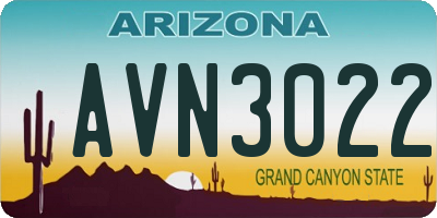 AZ license plate AVN3022