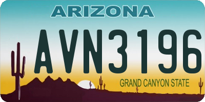 AZ license plate AVN3196