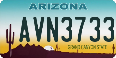 AZ license plate AVN3733
