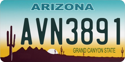 AZ license plate AVN3891