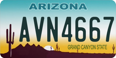 AZ license plate AVN4667
