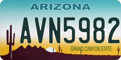 AZ license plate AVN5982