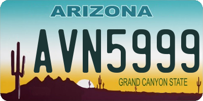 AZ license plate AVN5999