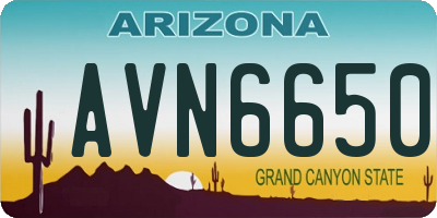 AZ license plate AVN6650