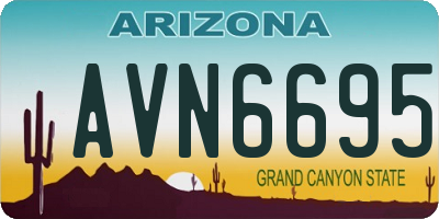AZ license plate AVN6695