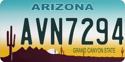 AZ license plate AVN7294