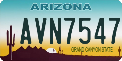 AZ license plate AVN7547