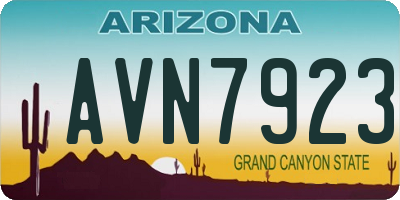 AZ license plate AVN7923