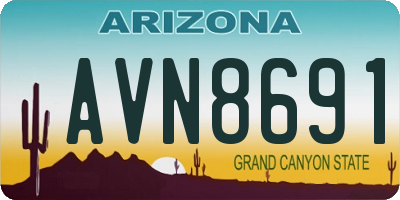 AZ license plate AVN8691