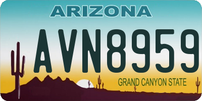 AZ license plate AVN8959