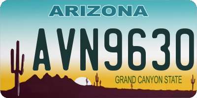 AZ license plate AVN9630