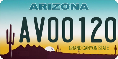 AZ license plate AVO0120