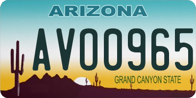 AZ license plate AVO0965