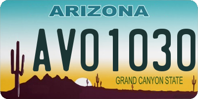 AZ license plate AVO1030
