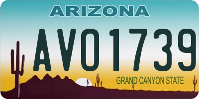 AZ license plate AVO1739