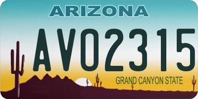 AZ license plate AVO2315
