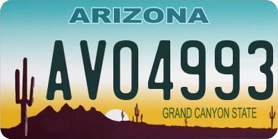 AZ license plate AVO4993